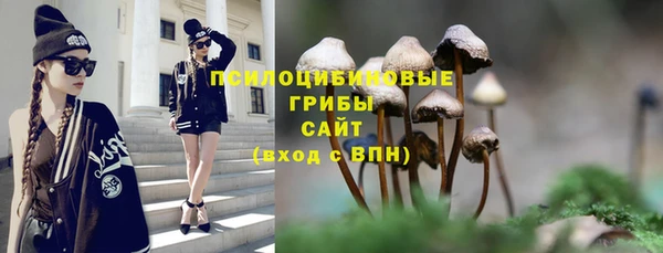 твердый Богданович