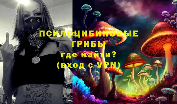 MDMA Белокуриха