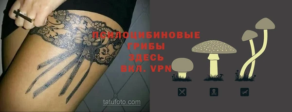 твердый Богданович