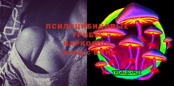 гашиш Богородицк