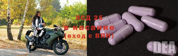 твердый Богданович