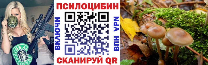Псилоцибиновые грибы мицелий Уварово