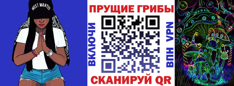 Псилоцибиновые грибы Psilocybe  Купить закладки  Уварово 