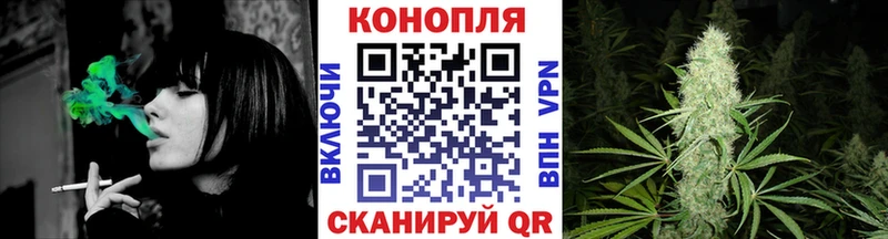 Купить закладки  Уварово  Шишки марихуана сатива 